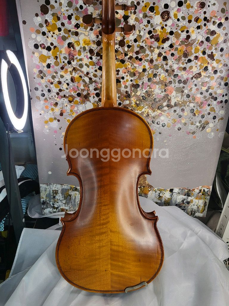 입문용 바이올린 4/4 풀세트, 고급현--3