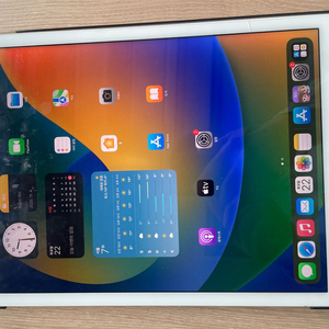 아이패드프로 12.9 셀룰러 256