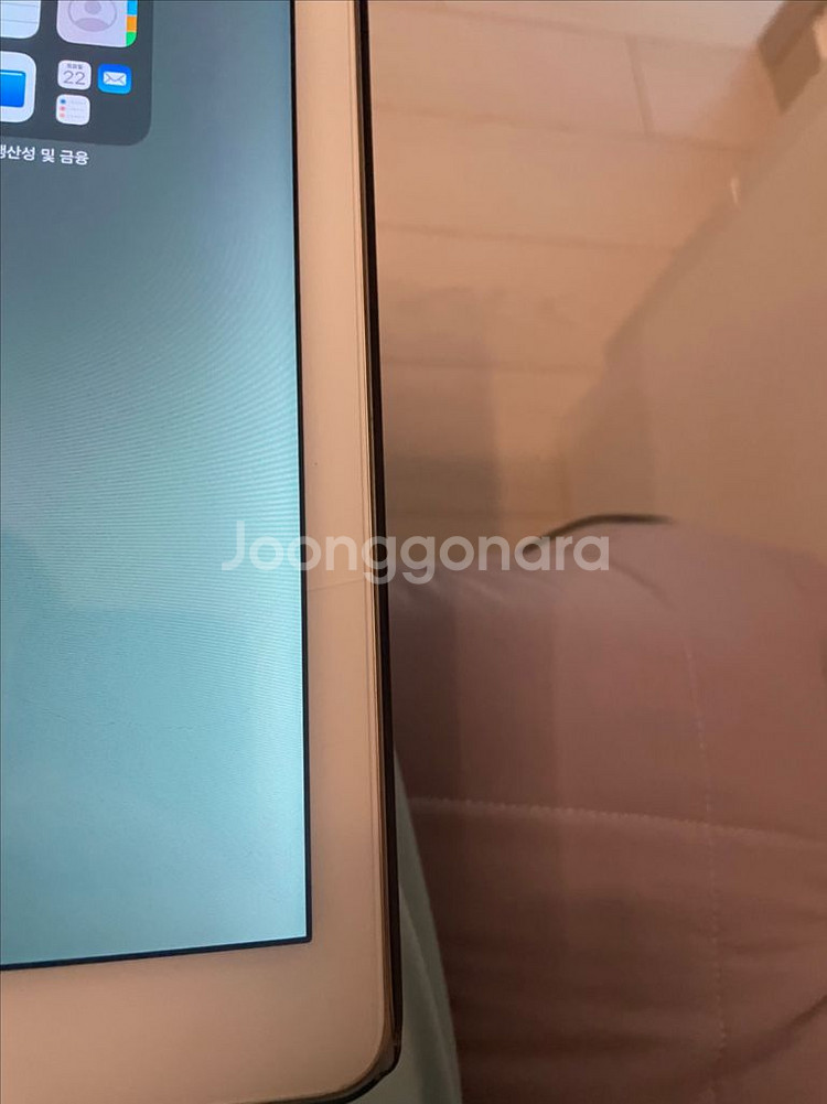 아이패드프로 12.9 셀룰러 256--6