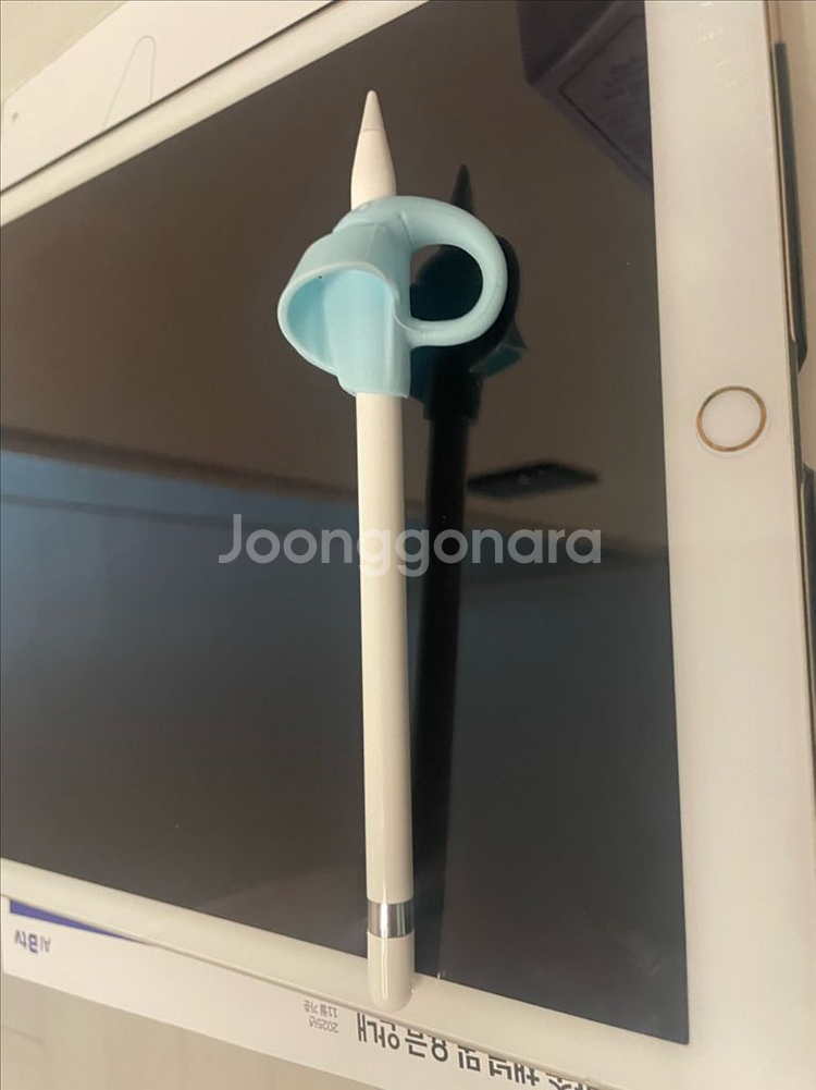 아이패드프로 12.9 셀룰러 256--8