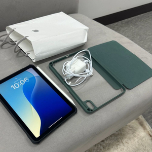 아이패드 미니6 256 셀룰러 모델