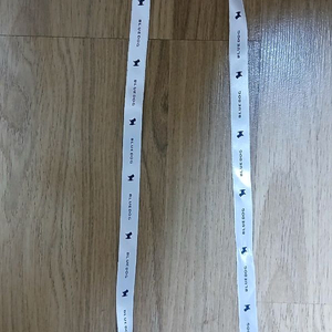 아가타 파리 리본 이미지