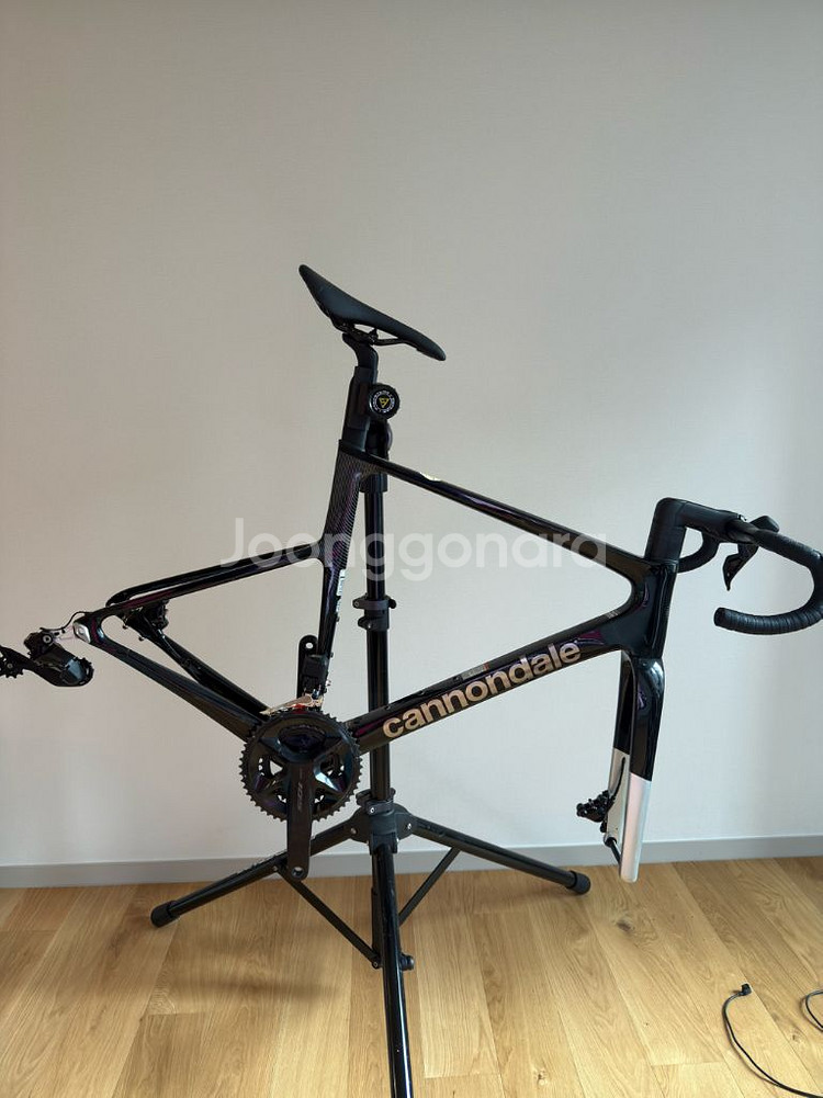 캐논데일 슈퍼식스 에보 반차 56 105 di2 2024--0