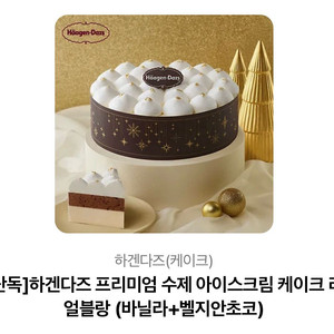 [카카오 선물] 하겐다즈 프리미엄 수제 아이스크림 케이크 리얼블랑