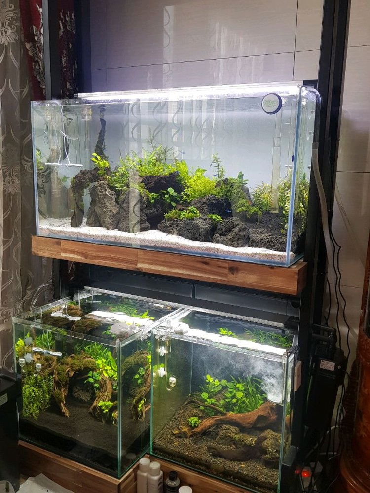 수조 받침대, 축양장 판매--3