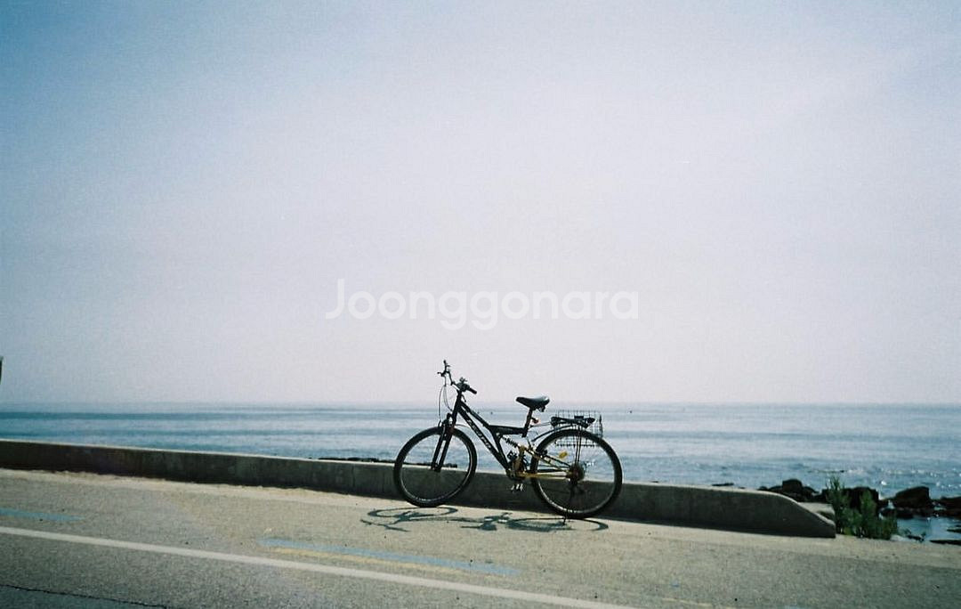 야시카 J 필름 카메라 +케이스 스트랩--5