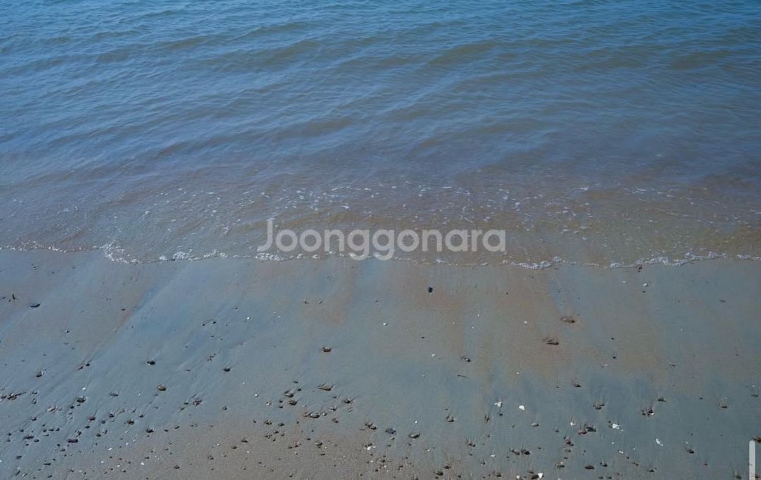 야시카 J 필름 카메라 +케이스 스트랩--6