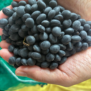 서리태콩 판매해요(소독약안함)1kg 11,250원 이미지