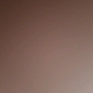 그어가 라쿤 이미지