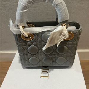 디올 레이디백 그레이 미니