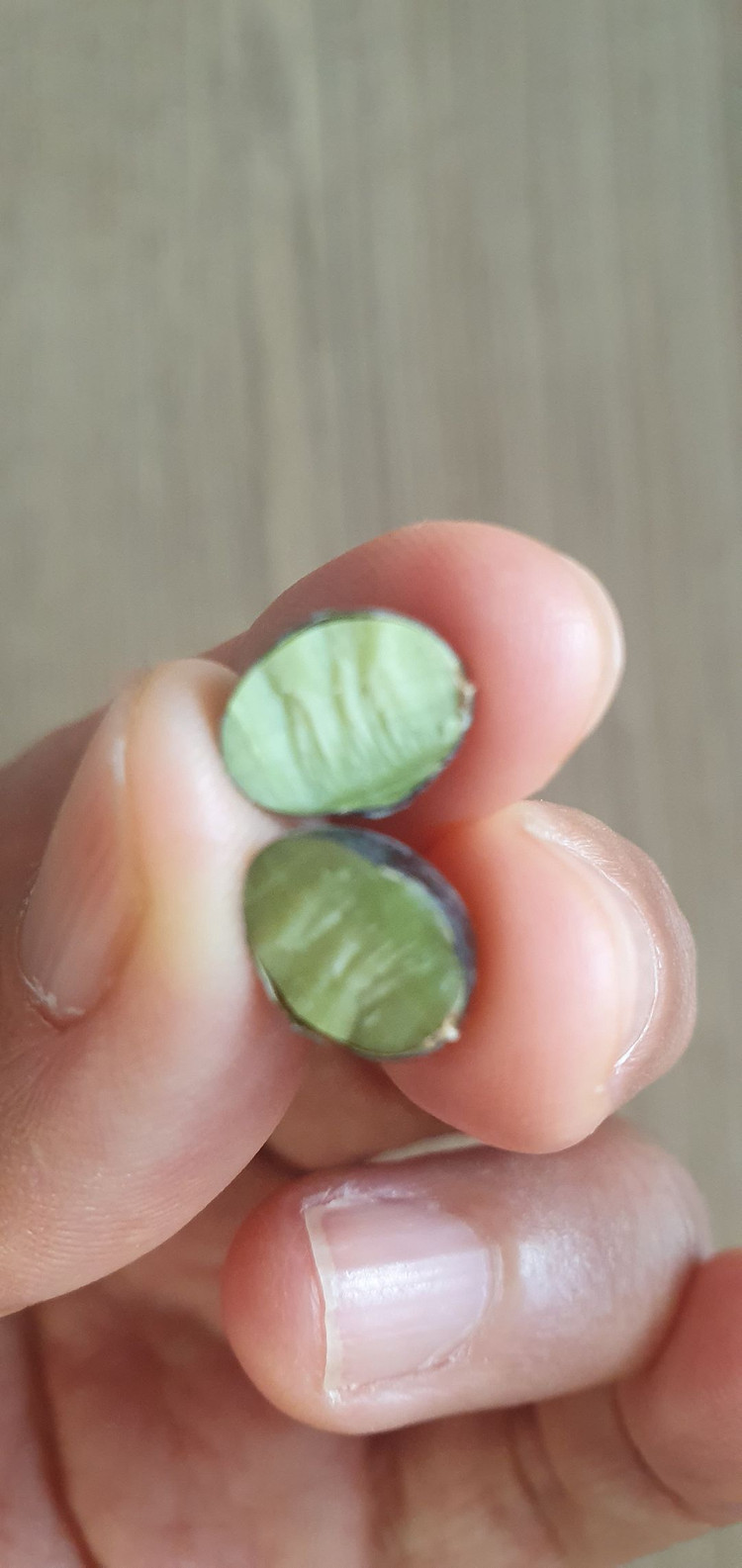 서리태콩 판매해요(소독약안함)1kg 11,250원 이미지