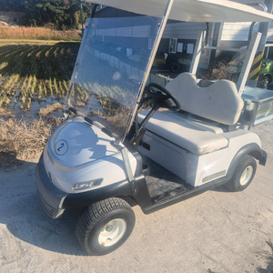 2인승 골프카트 전동카트