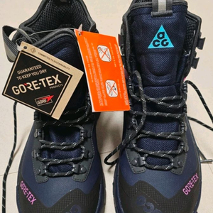 나이키 acg 줌가이아돔 260