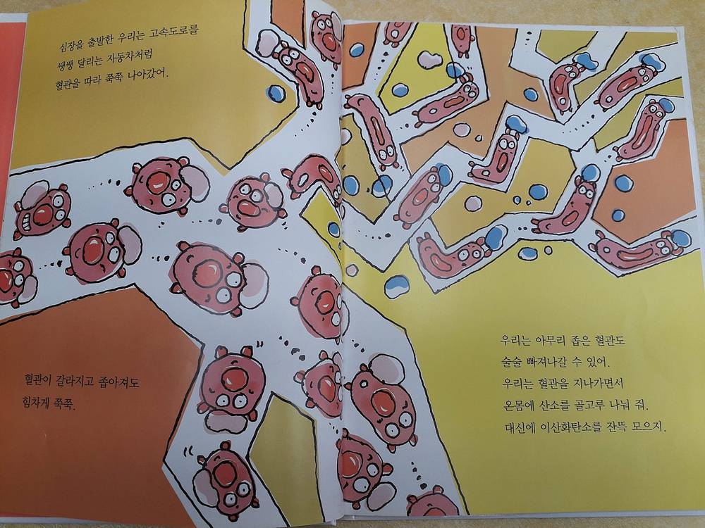 시공주니어 네버랜드 과학그림책 - 인체편 (1~8번) 이미지