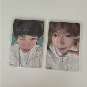 엔시티위시 컬러 팝업 특전포카(시온/사쿠야) 이미지