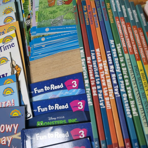 영어원서 단행본