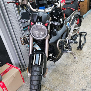 존테스 g1 125 팝니다 신차긒