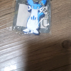 팰월드 베비뇽키링