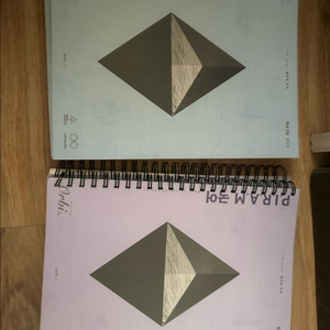 피램 문학 독서 2권