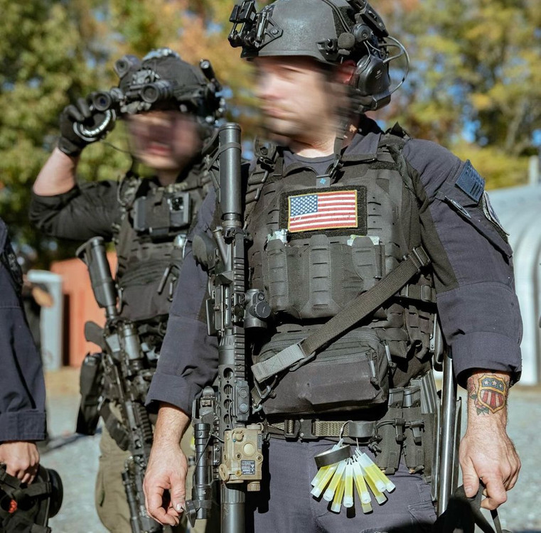 블루포스기어 플레이트 캐리어(오리 군장 플캐 택티컬 밀리터리 방탄조끼) 이미지