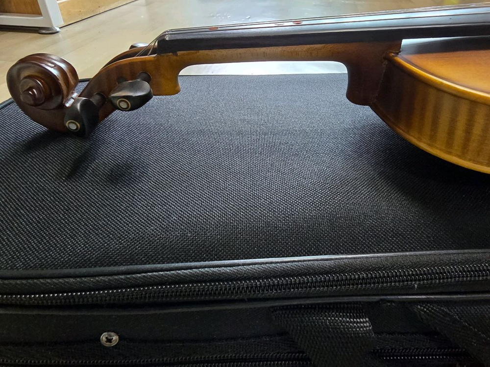 영창 바이올린 Albert weber MODEL: AWV290N--3