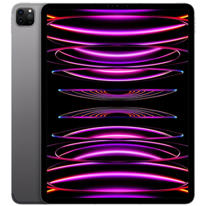 애플 아이패드 프로 12.9 6세대 M2 512GB 셀룰러 + 정품 애플 펜슬 + 모시 버사 케이스