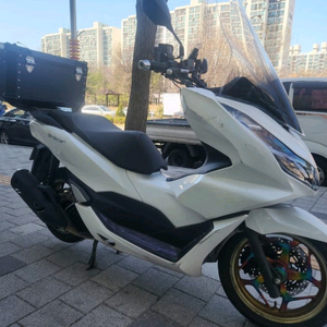 PCX 또는 Nmax 구합니다