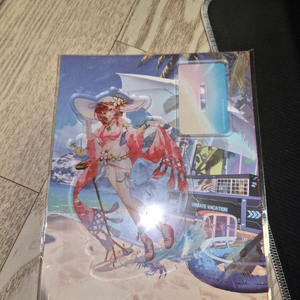 이터널리턴 스탠드, 패드, 태피스트리 팝니다