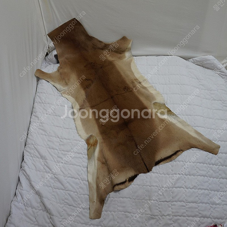 빅사이즈 천연 모피 러그 매트 깔개 카페트 인테리어 소품 사랑봉봉--0