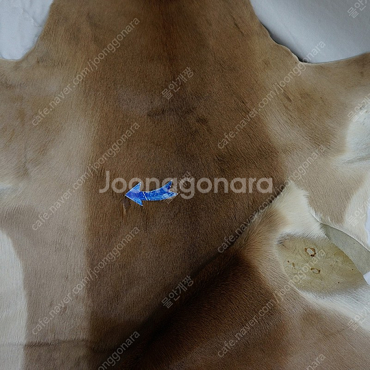 빅사이즈 천연 모피 러그 매트 깔개 카페트 인테리어 소품 사랑봉봉--1