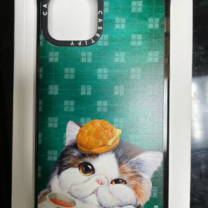 케이스티파이 아이폰12케이스입니다