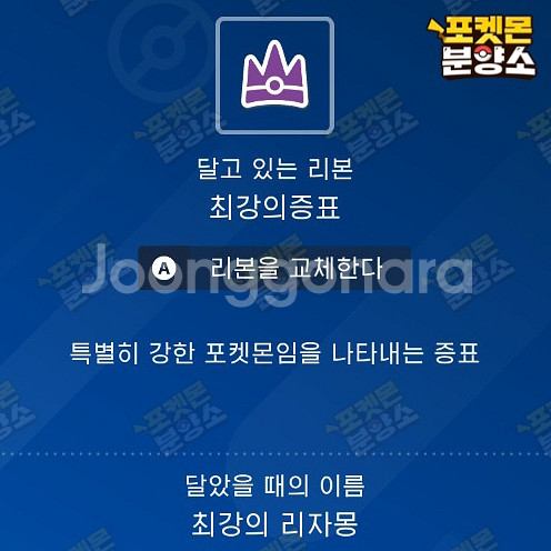 최강의 테라레이드 포켓몬 분양 / 스칼렛 바이올렛--2