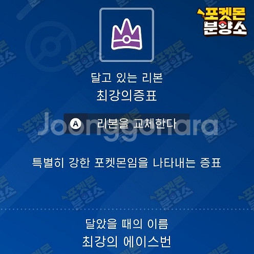 최강의 테라레이드 포켓몬 분양 / 스칼렛 바이올렛--3