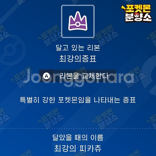 최강의 테라레이드 포켓몬 분양 / 스칼렛 바이올렛--4