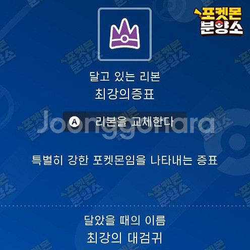 최강의 테라레이드 포켓몬 분양 / 스칼렛 바이올렛--6