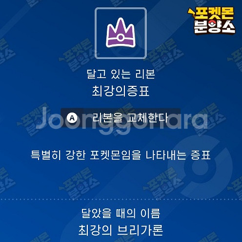 최강의 테라레이드 포켓몬 분양 / 스칼렛 바이올렛--8