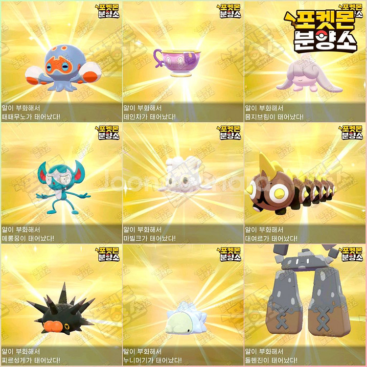 이로치 포켓몬 분양 / 소드 실드 / 닌텐도 스위치--1