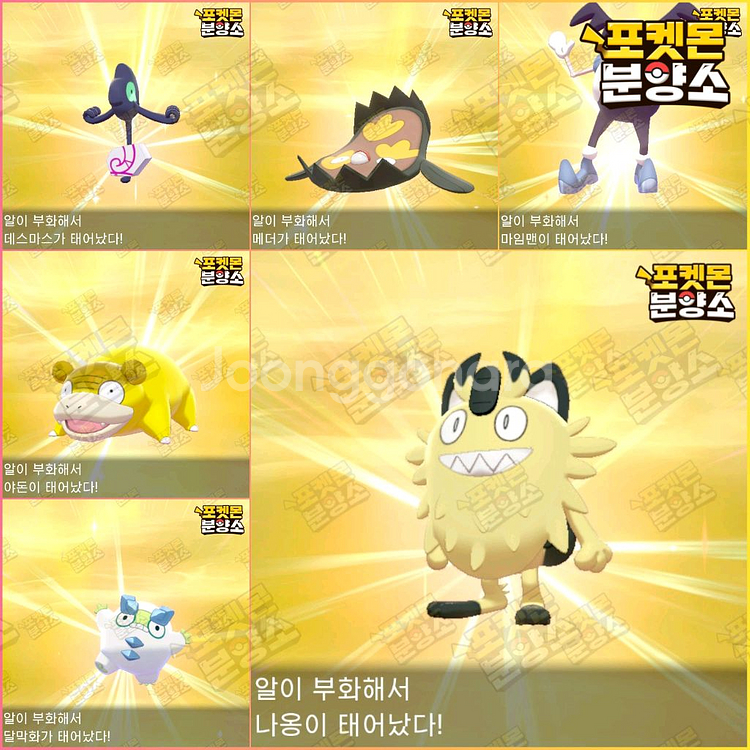 이로치 포켓몬 분양 / 소드 실드 / 닌텐도 스위치--3