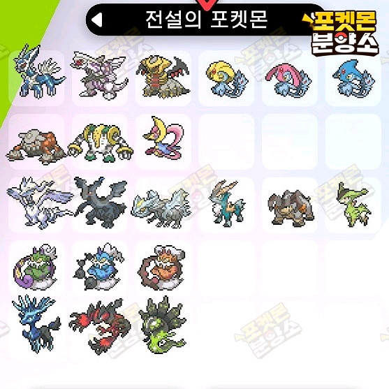 전설의 포켓몬 분양 / 소드 실드 / 닌텐도 스위치--2