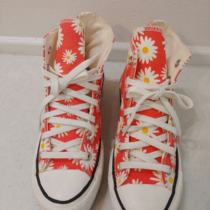 컨버스 데이지 240