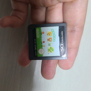 닌텐도 DS 놀러오세요 동물의 숲