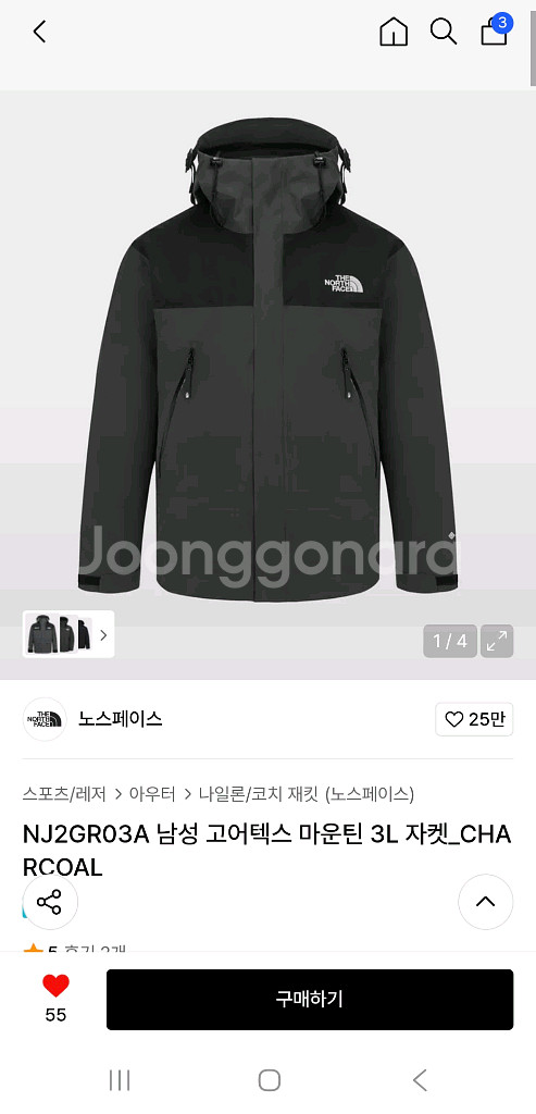 노스페이스 고어텍스 마운틴 3L 자켓--1