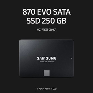 삼성 870 EVO SATA SSD 250GB