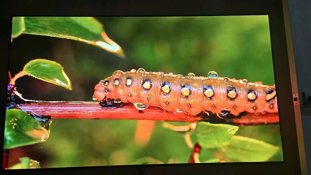 LG OLED65G2KNA 65인치 OLED TV팝니다 이미지