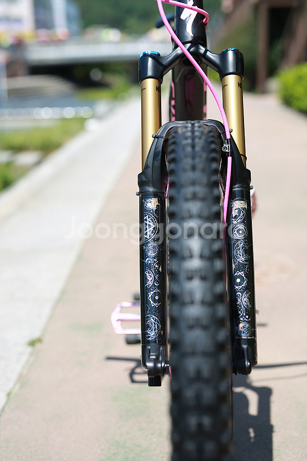 *최저가*21년 스페셜 스텀점퍼 에보 익스퍼트 카본 S2 풀샥--7