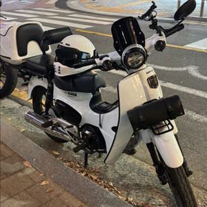 바둑이 슈퍼커브