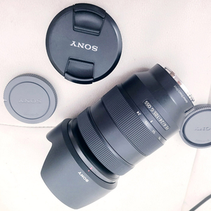 소니 렌즈2개 100만원 24105G + 단렌즈 24-105 F4