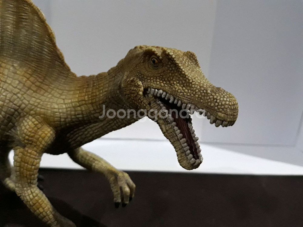 스피노사우루스 공룡피규어--1