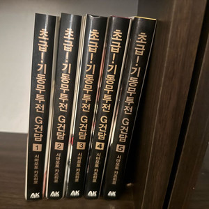 초급! 기동무투전 G건담