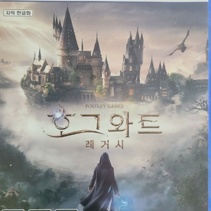 PS5 호그와트 레거시